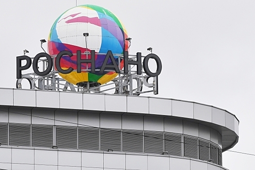 МВД подтвердило задержание экс-заместителей Чубайса