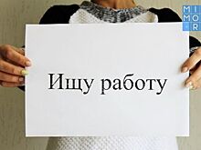 Какие отрасли экономики Дагестана получат новые рабочие места?