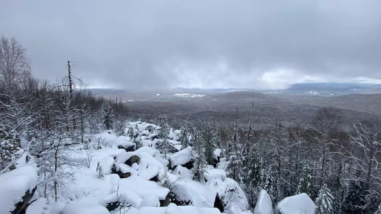 Охотник назвал версию пропажи Усольцевых