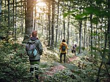 Названы два предмета, которые нужно брать с собой при походе в лес