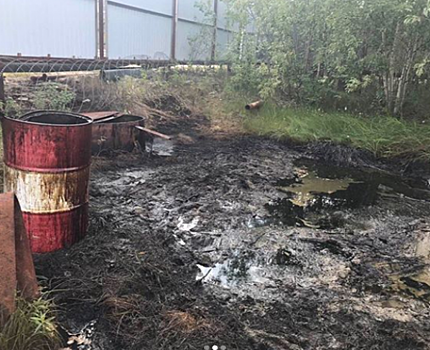 Ученые рассказали, чем опасен разлив нефтепродуктов на Ямале