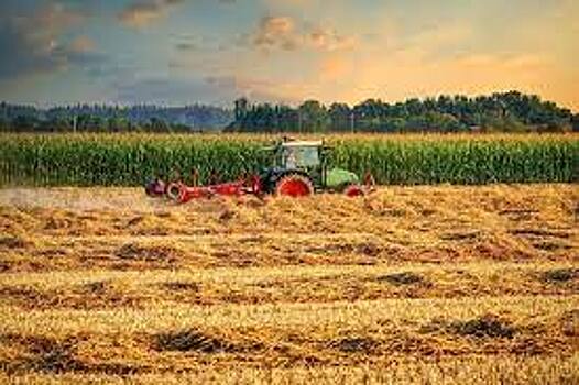 Сельское хозяйство Европы оказалось под ударом без российских удобрений