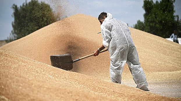 Один из&nbsp;видов российского экспорта упал почти в&nbsp;три раза