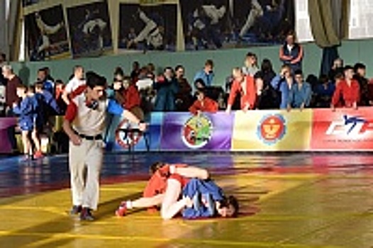 В Зеленограде прошел Открытый турнир по самбо, посвященный Дню сотрудника органов внутренних дел РФ