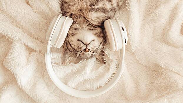 Невролог рассказал, помогает ли прослушивание звука sound spice от тошноты