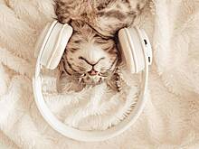 Что принято праздновать 1 октября