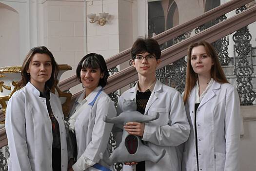 Тренажер для операций на кошках создали в России