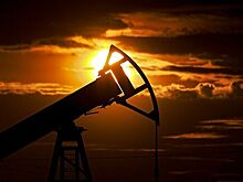 В 12 раз упал экспорт нефти из России в США