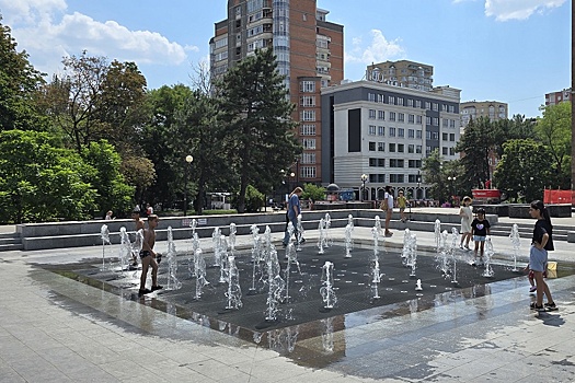 На Дону впервые зафиксировали плюс 42 градуса