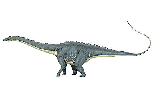 Палеонтологи опровергли миф о динозавре со сверхзвуковым хвостом