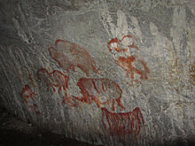 В пещере Шульган-Таш найдены новые наскальные рисунки