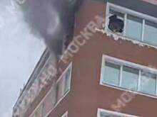 Пожарные спасли 16 человек из горящего хостела на севере Москвы