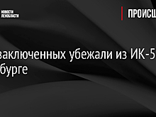 Трое заключенных убежали из ИК-5 в Петербурге