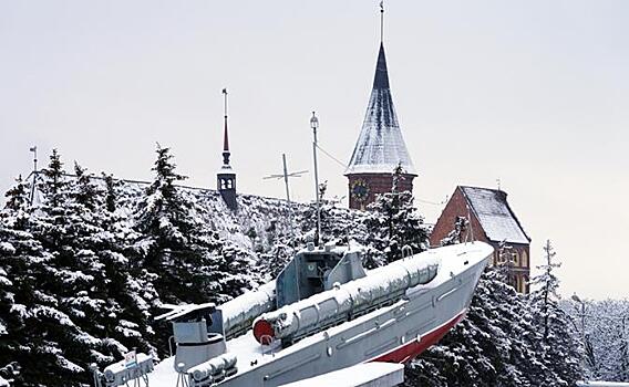 "Калининград – это Литва, а Иммануил Кант вообще жмудь". Разве ж кто рискнет возразить Вильнюсу?