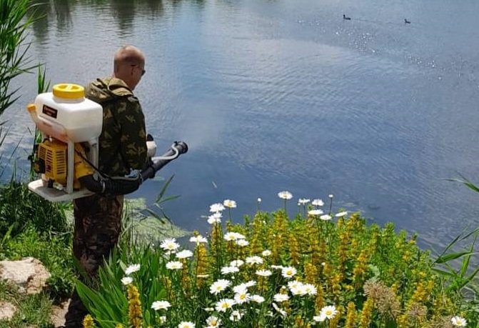 В Ростове-на-Дону приступили к обработке от личинок комара