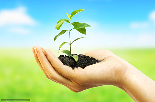 Курская область стала четвертой в топе самых экологически чистых регионов