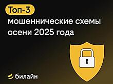 Билайн назвал три схемы телефонного мошенничества, наиболее популярные этой осенью