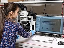 Физики создали компактную систему управления работой сверхпроводящих кубитов