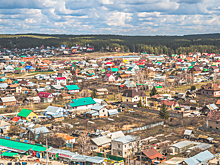 Морковь с сюрпризом: в Castorama самарским дачникам продавали зараженные семена