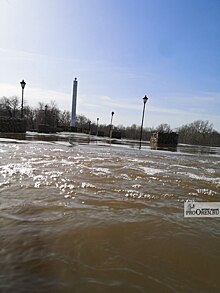 В Оренбуржье подтоплено более 26 тысяч жилых домов и приусадебных участков