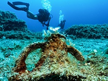 Дайвер-любитель обнаружил одно из величайших сокровищ Римской империи