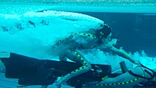 Создатели «Аватара» показали кадр с подводных съемок второй части фильма