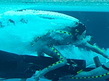 Создатели «Аватара» показали кадр с подводных съемок второй части фильма