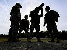 В Минобороны Польши раскритиковали шведское оружие