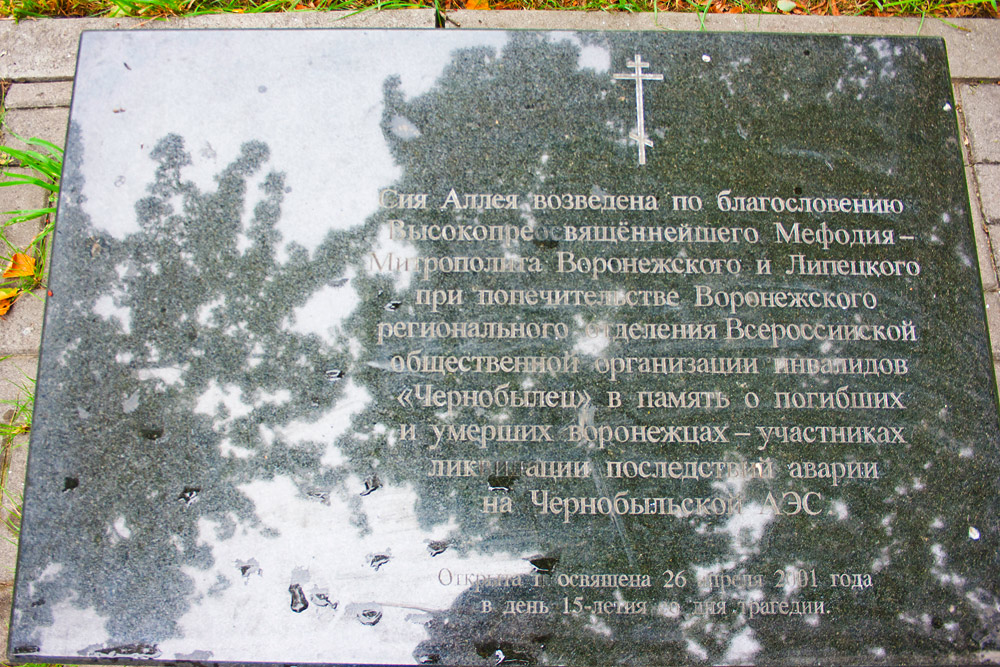 Благовещенский кафедральный собор, Воронеж, Российская Федерация