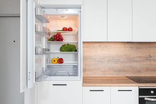 Как избежать преждевременной «смерти» холодильника
