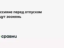 Россияне перед отпуском ищут зоонянь