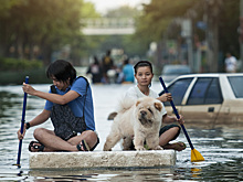 В ООН предупредили, что число разрушительных наводнений в мире будет расти