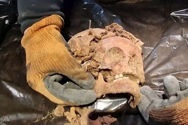 Под «Волчьим логовом» Гитлера обнаружили пять скелетов без стоп и кистей рук