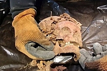 Под «Волчьим логовом» Гитлера нашли скелеты без стоп и кистей рук