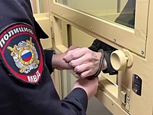 В Подмосковье суд арестовал мужчину, расстрелявшего девушку на свидании