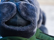 В Волгоградской области ищут сбежавшего из воинской части срочника