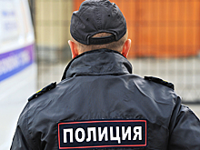 Начальник задержавших Голунова полицейских покинул Россию
