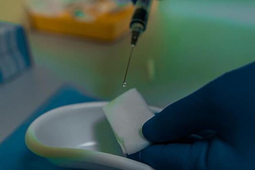 Три вируса гриппа циркулируют в Приморье