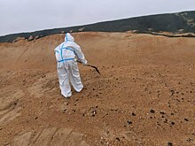 Экологи оценили вероятность новых выбросов мазута в Анапе