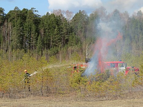 За праздники в Кировской области произошло два лесных пожара