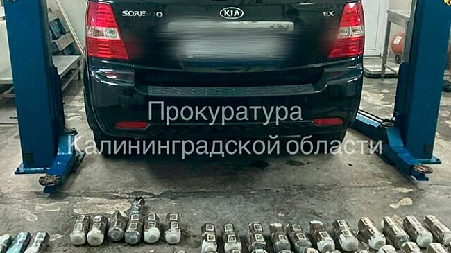 Суд Калининграда приговорил мужчину к 13 годам колонии за контрабанду наркотиков