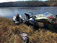 В Приамурье задержали мужчин, которые в лодке перевозили незаконно добытое мясо изюбря