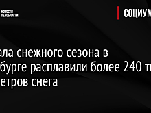 С начала снежного сезона в Петербурге расплавили более 240 тыс. кубометров снега