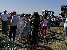 В Марий Эл анонсировали проведение «Дня овощного поля-2023»