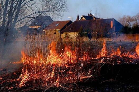 За сутки в Тюменской области возникло четыре новых природных пожара