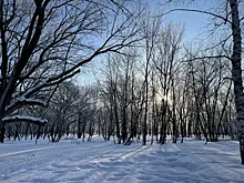 120 гектаров: в Самаре благоустроят лесопарк им. 60-летия Советской власти