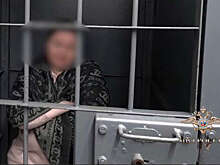 В Подмосковье продавец магазина оформила на покупателей кредиты на 20 млн рублей