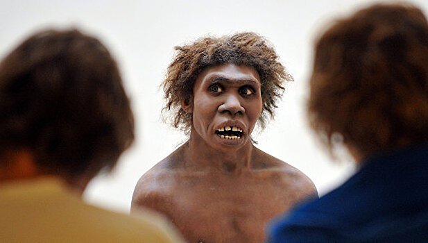 В ДНК последних неандертальцев не нашли следов людей