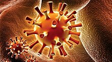 Вирус герпеса убивает неоперабельные опухоли