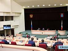 В Саратовской областной думе одобрили льготы для мобилизованных без оглашения числа получателей